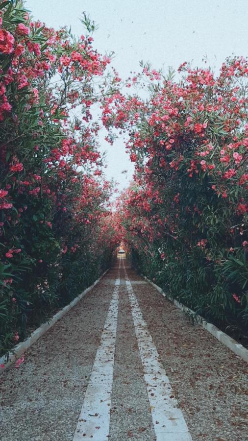 דירות סנטה מריה די קסטלבאטה La Casa Di Nonna Nennella מראה חיצוני תמונה